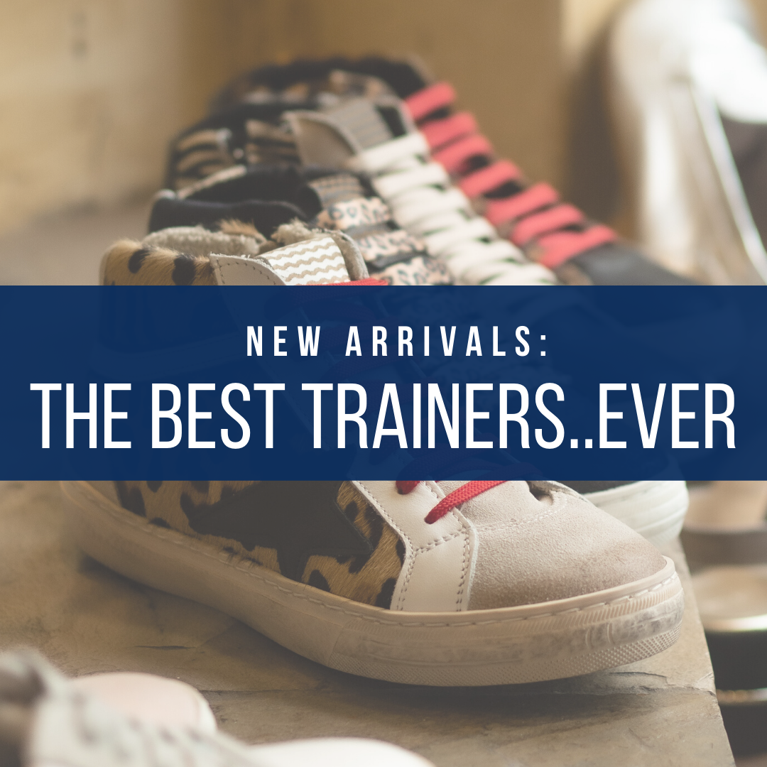 The Best Trainer Collection...Ever!