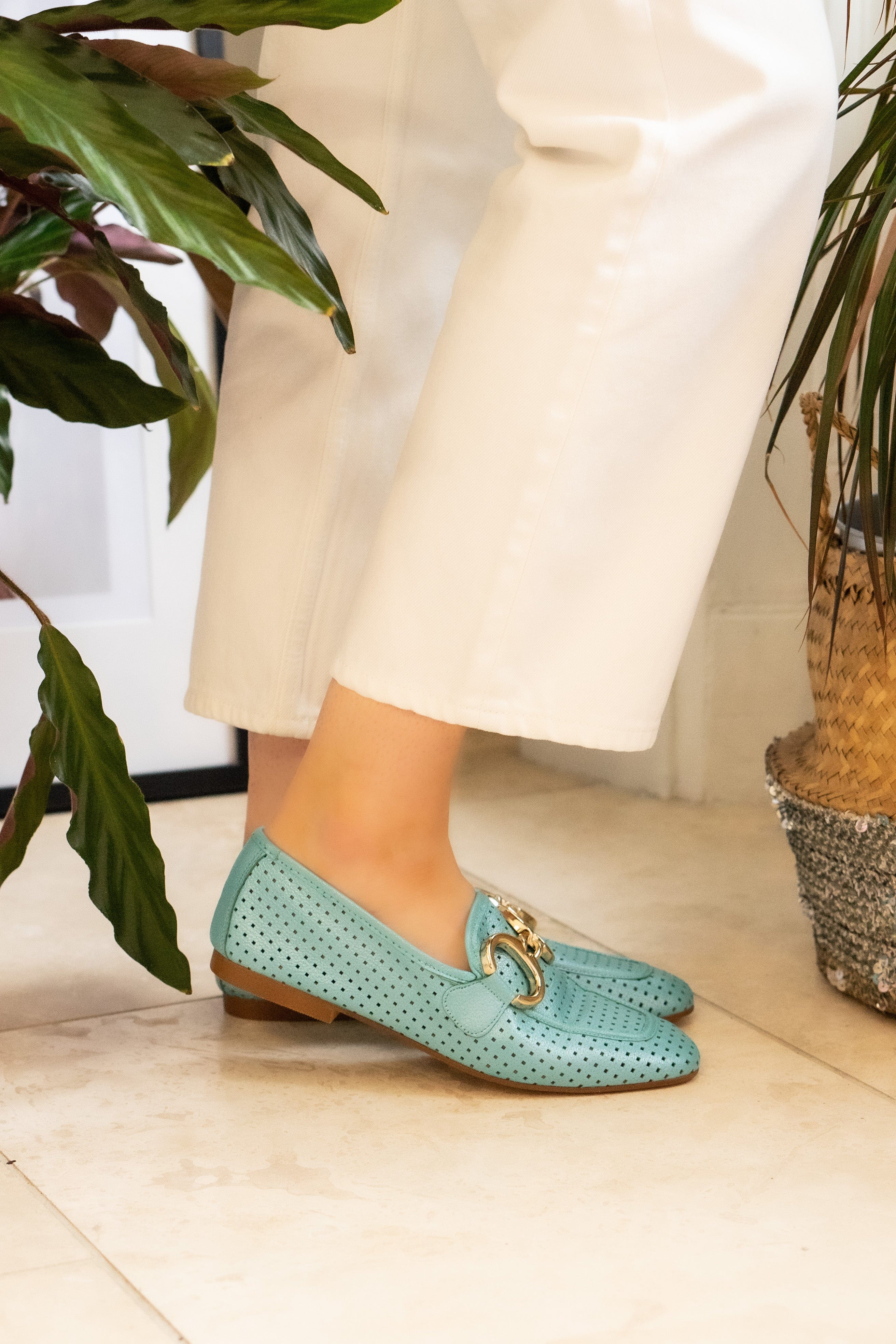 Buchi Turquoise