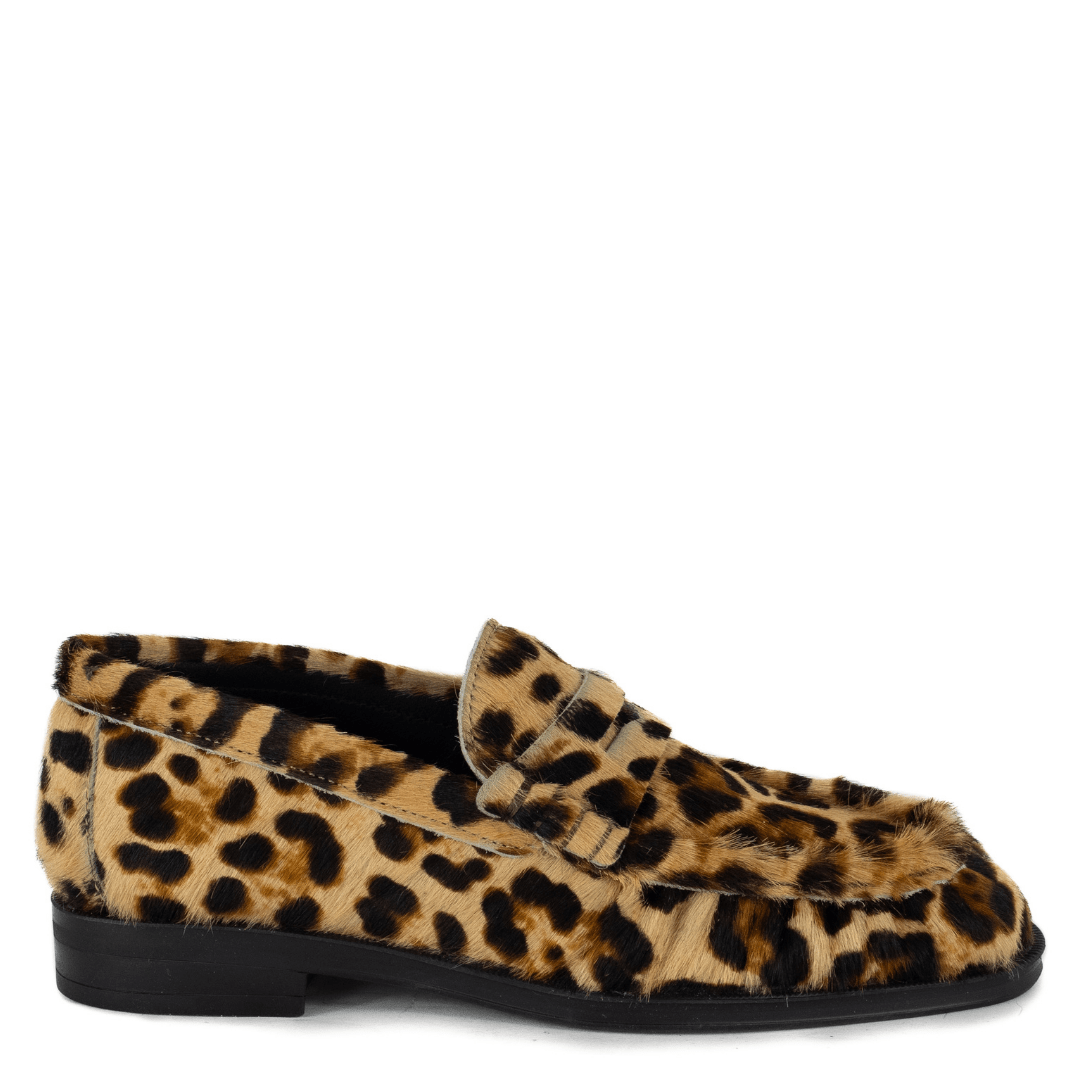 Pisani Leopard