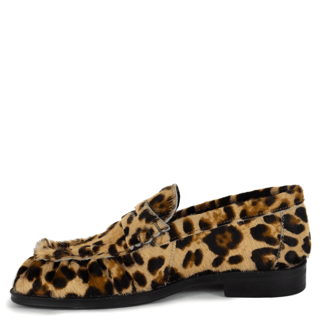 Pisani Leopard