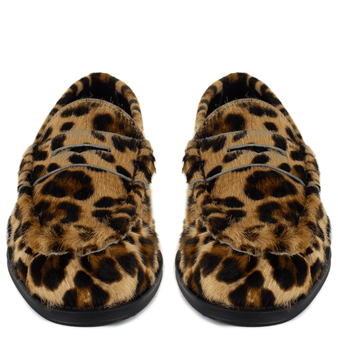 Pisani Leopard