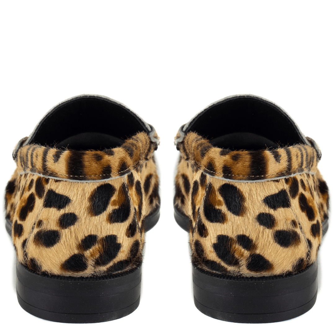 Pisani Leopard