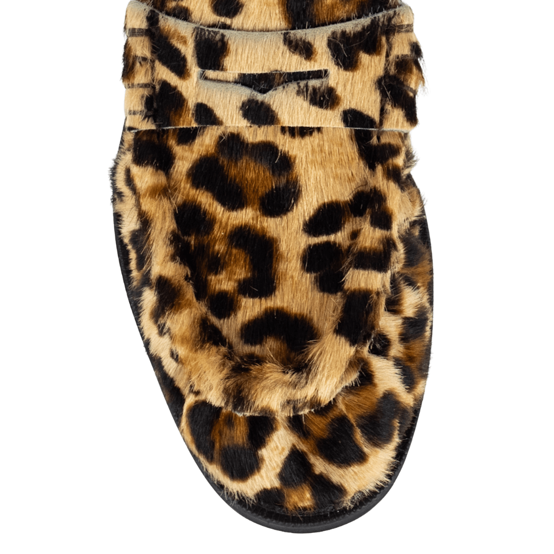 Pisani Leopard